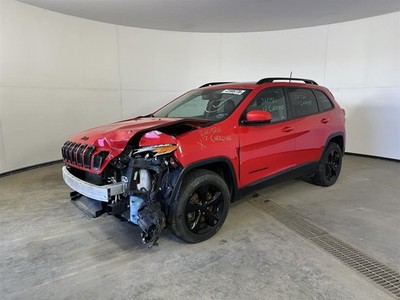 ROOF BAG Driver Left Air Bag Front Driver Roof Fits 14-18 CHEROKEE 2861519