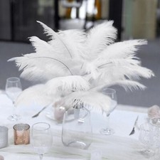 12 pcs 13-15" long White Genuine Ostrich FEATHERS Wedding Party Centerpieces