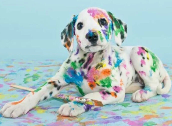 Dalmatian canvas art cheap