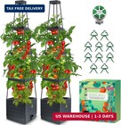 2 Pack Tomato Planter with Trellis 57 Self Watering Raised Garden Bed Planter