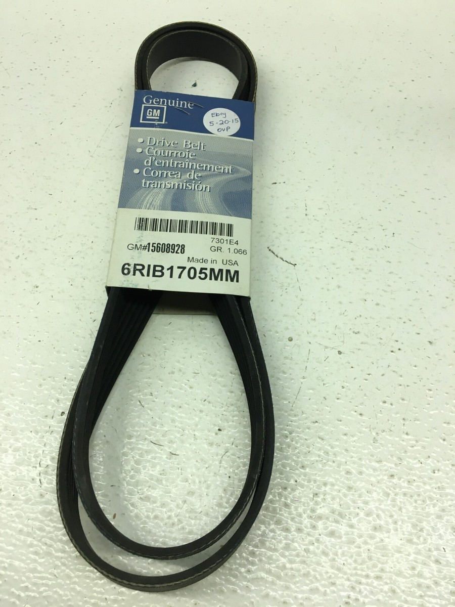 GM OEM Fan + Generator Serpentine Drive Belt 15608928 | eBay 