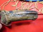 NATIVE AMERICAN STAG KNIFE AND BEADED SHEATH NECK ANTIQUE RARE INDIAN BOWIE OLD — photo 4