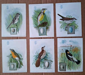 vtg 1899 John L Ridgway Song Birds illustration Singer Sewing Machine 6 Cards