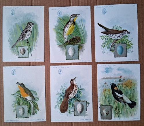 vtg 1899 John L Ridgway Song Birds illustration Singer Sewing Machine 6 Cards