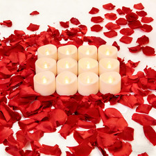 200 PCS Dried Real Red Rose Flower Petals for Wedding, 1.76Oz Preserved Freeze F