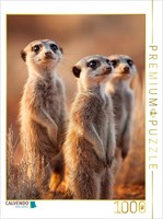 Calvendo Puzzle Meerkat Family Standing At Attention In The Savannah | 1000 Piec