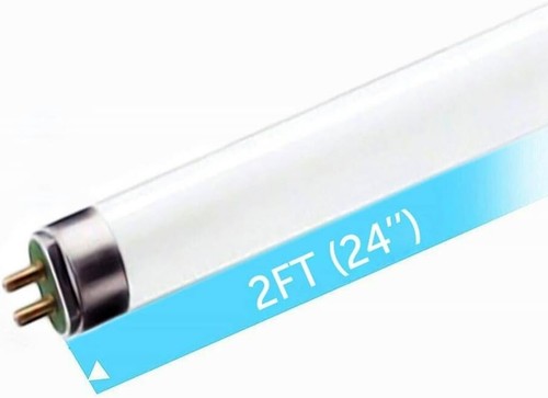 6 Pack 17W T8 Fluorescent Light Bulbs, 6500K Daylight - Bright & Efficient - Picture 5 of 8