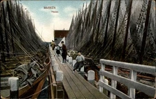 Haven Marken Netherlands vintage postcard y351