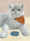 ACEO orig. pastel drawing british shorthair cat with food  by Anna Hoff