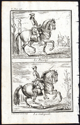 Antiker Druck - PFERDEGANG - PASSAGE - GALOPP - Paket - 1769