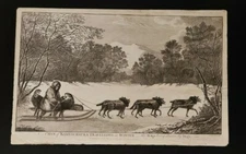 ENGRAVING A MEN OF KAMTSCHATKA TRAVELLING IN WINTER DOGS XIX SEC.