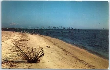 Postcard - Rare Tropical Bird Sanctuary - Florida