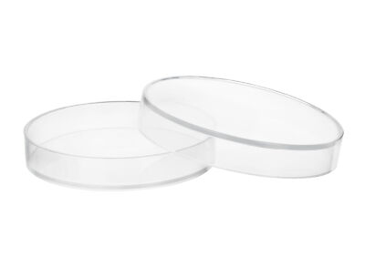 Eisco Labs Polypropylene Plastic Petri Dish - 5'' Diameter, 0.75'' Depth