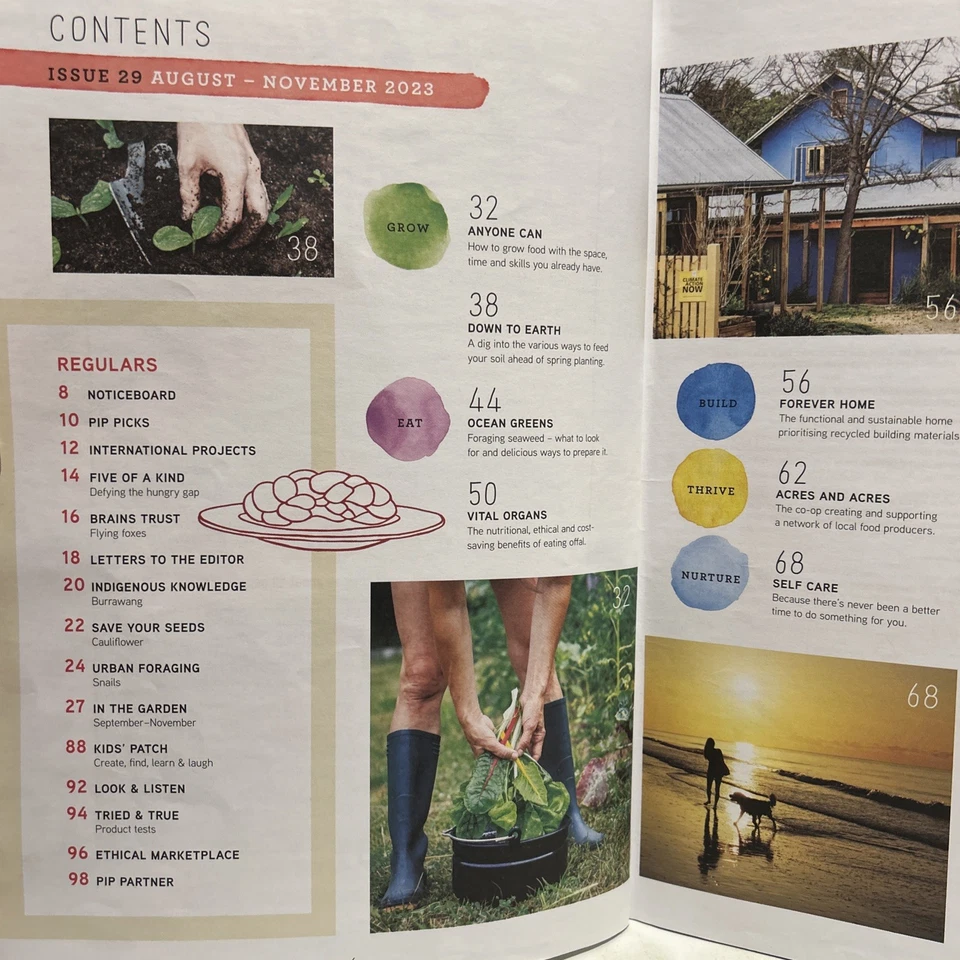 Pip Magazine Issue: #29 2023 Grow your own food anyone can - Image 3 of 4