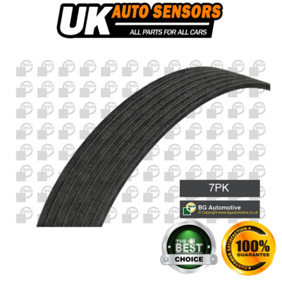 Fits Qashqai X-Trail Master Megane Scenic RX V Ribbed Drive Belt AST 4420655
