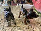Vintage Kitty Cats — photo 5