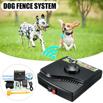 guardian shock collar