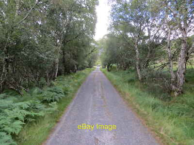 Photo 12x8 Tree-lined minor road near to Loch Hope Looking north-eastward. c2021