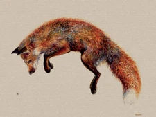 Jane Bannon Canvas Art Prints Range Of Animal Pictures 108 Different Options