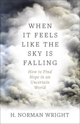 When It Feels Like the Sky Is Falling: How to Find Hope in an Uncertain  .. NEW