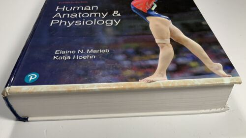 Menschliche Anatomie & Physiologie - Bild 3 von 16