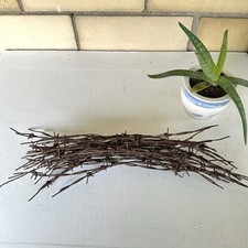 Rusty Barb Wire strands. Sharp old rustic look. Crafting Decor