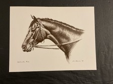 SPECTACULAR BID Sketch  11 X 9 Horse Racing 1979 KENTUCKY DERBY