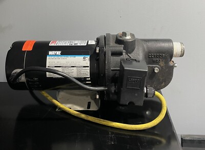 Wayne SWS75 3/4 HP Gusseisen Flachbrunnenpumpe