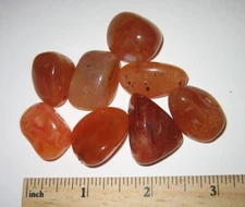 8 TUMBLED POLISHED NATURAL 0.8"- 1.1" CARNELIAN AGATE STONE MINERALS ~ 74.1g *5