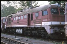 Originaldia DR 220 019 Brandenburg 5.5.2005...