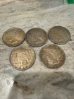 lot (C) 5 ungraded, circulated peace dollars