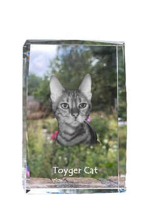 Toyger Cat - crystal with a picture of a cat, photo in glass, modern exhibition 