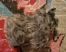 Halloween costume prop Wizard of Oz plush dog GRAY terrier Toto Dorothy's pet