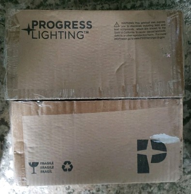 Progress Lighting P3816 Melon Glass Series 11-3/8'' Single-Light - Bronze
