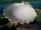 VINTAGE CAMBRIDGE CROWN TUSCAN COMPOTE ? - PINK MILK GLASS LARGE SHELL