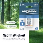 Bild 9 von 11
