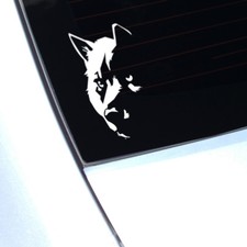 Wild Wolf Staring Decal Sticker For Car Van Caravan Laptop PC Case Camper