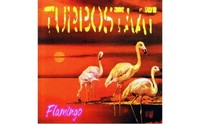 Turbostaat: Flamingo (180G) (Limited Edition) - Believe Digital - (Lp / F)