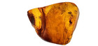 RARE SPIDER INCLUSION GENUINE BALTIC AMBER FOSSIL 7.26G POLISHED SPECIMEN — photo 2