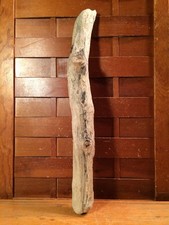 Beautiful 18" DRIFTWOOD Piece Art Terrarium Taxidermy Aquarium Beach Wood DECOR