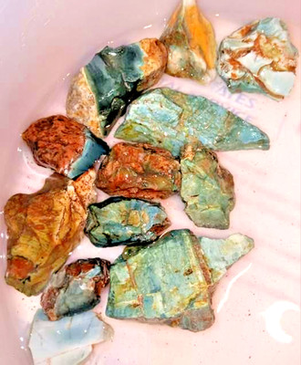 218g Lot = 12x Oregon Skaggs Green Jasper Chunks Lapidary Rough Tumbler SKG#002