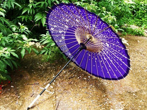 Japanese Wagasa Paper Umbrella Purple Kimono Samurai for Cosplay Japan - Picture 1 of 2