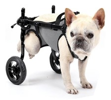 New BECROWM Small Dog Wheelchair for Back Legs, Light Weight Dog  Cat Medium