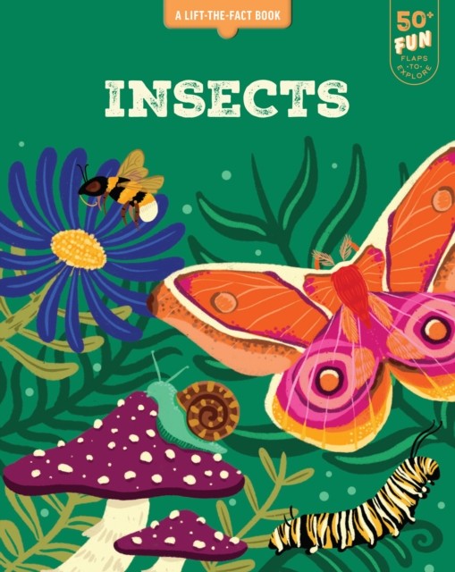 Insects A Lift the Fact Book by Emma Whitelaw (Board book)