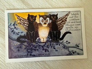 Cartolina d'epoca antica Halloween gufo Whitney gatto nero streghe