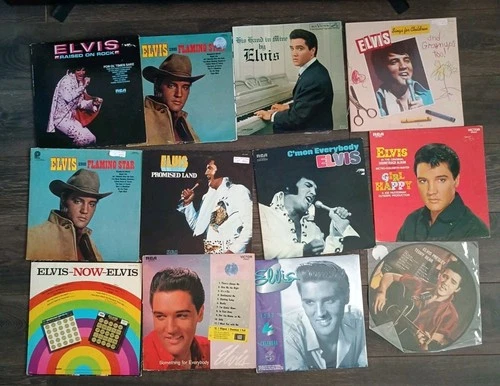 Elvis Presley  Lot of 10-LP Albums 1-Picture LP 1-Calendar Pre-owned