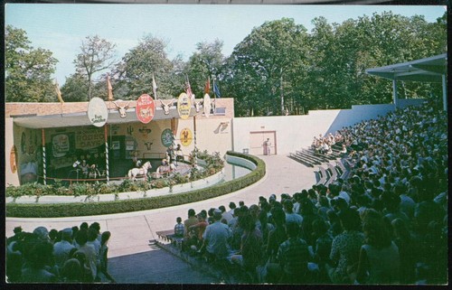 DETROIT MI Chimpanzee Stage Holden Amphitheater Great Ape Exhibit Vtg Postcard B - 第 1/1 張圖片