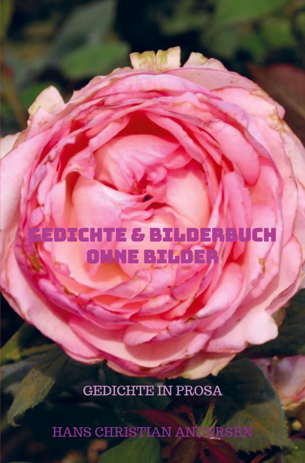 Thumbnail - Hans Christian Andersen / Gedichte & Bilderbuch Ohne