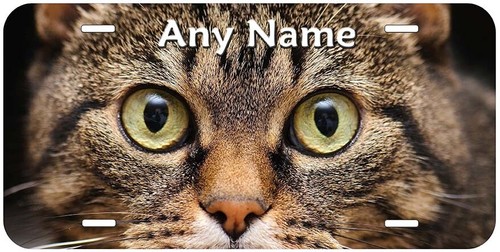 Matrícula de coche novedad personalizada con ojos de gato cualquier nombre texto - Imagen 17 de 24