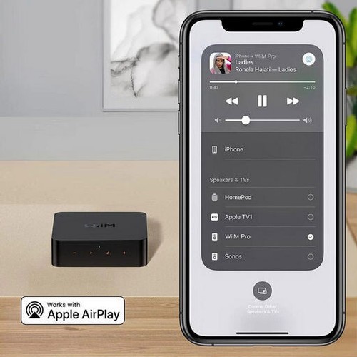 WiiM-PRO-PLUS HI-RES WIRELESS AUDIO STREAMER WiFi Streamer Audiophile with remot - Picture 4 of 6